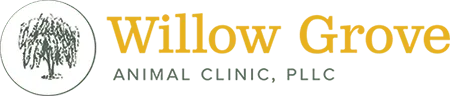 Associated Veterinary Medical Center